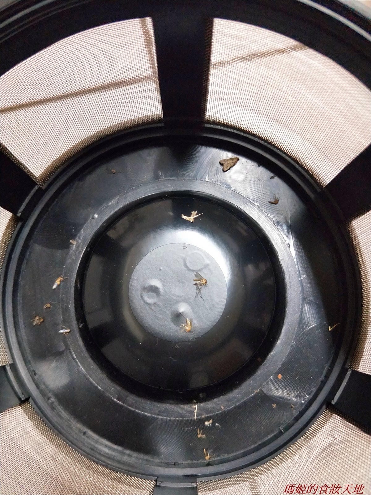巧福吸入式補蚊器25.jpg 巧福吸入式補蚊器25.jpg