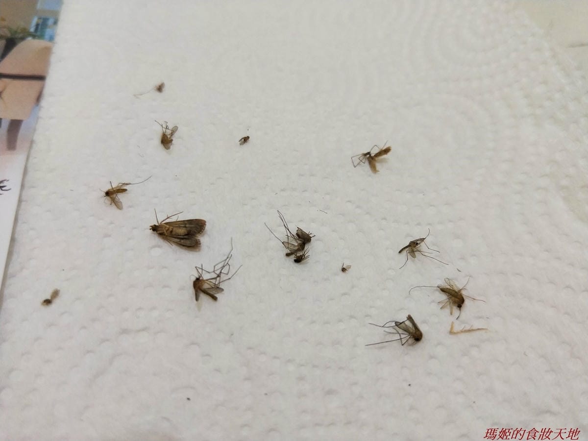 巧福吸入式補蚊器26.jpg 巧福吸入式補蚊器26.jpg