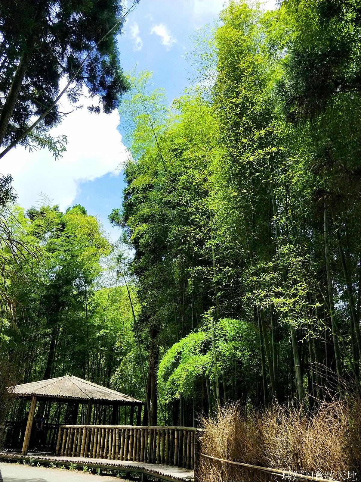 雲嶺之丘五元二角17.jpg 雲嶺之丘五元二角17.jpg