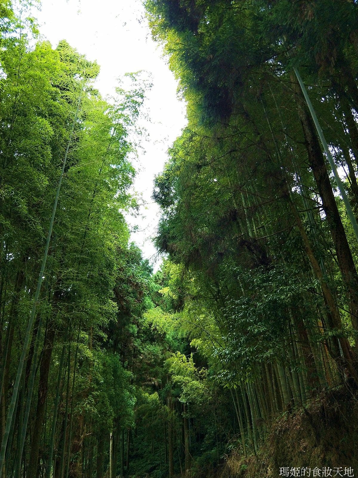 雲嶺之丘五元二角23.jpg 雲嶺之丘五元二角23.jpg