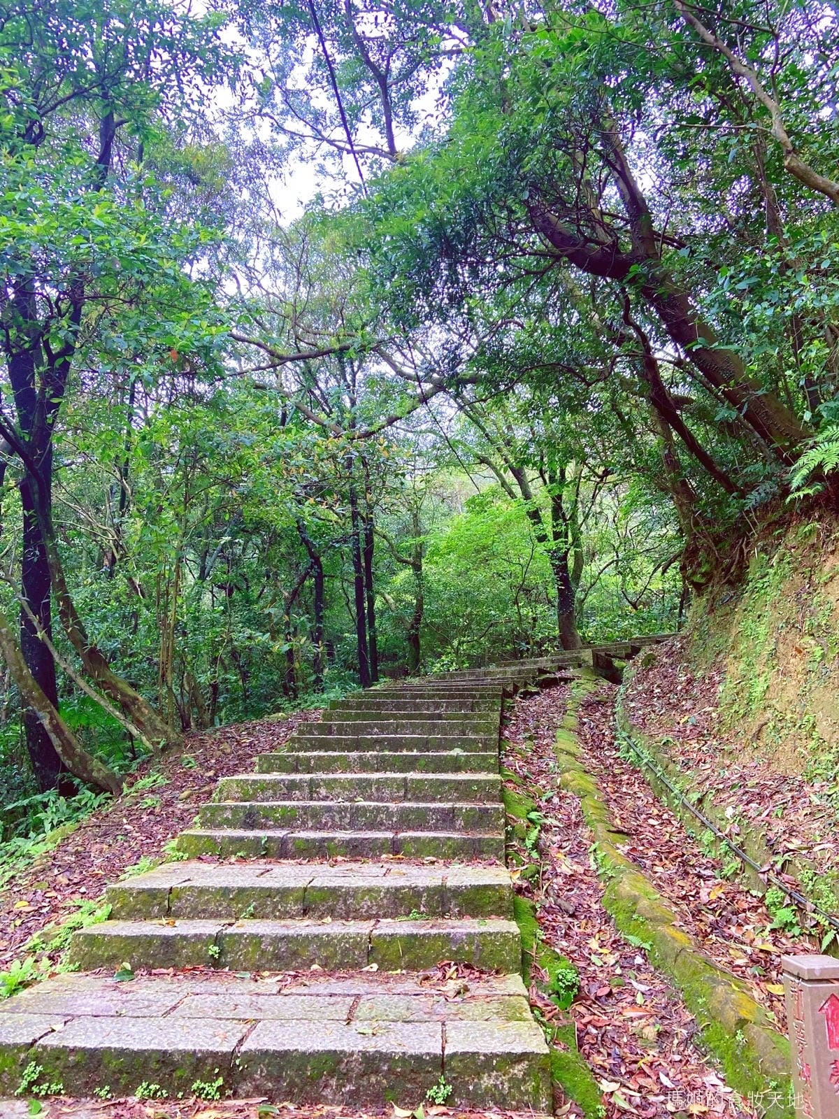 新山夢湖20.jpeg 新山夢湖20.jpeg