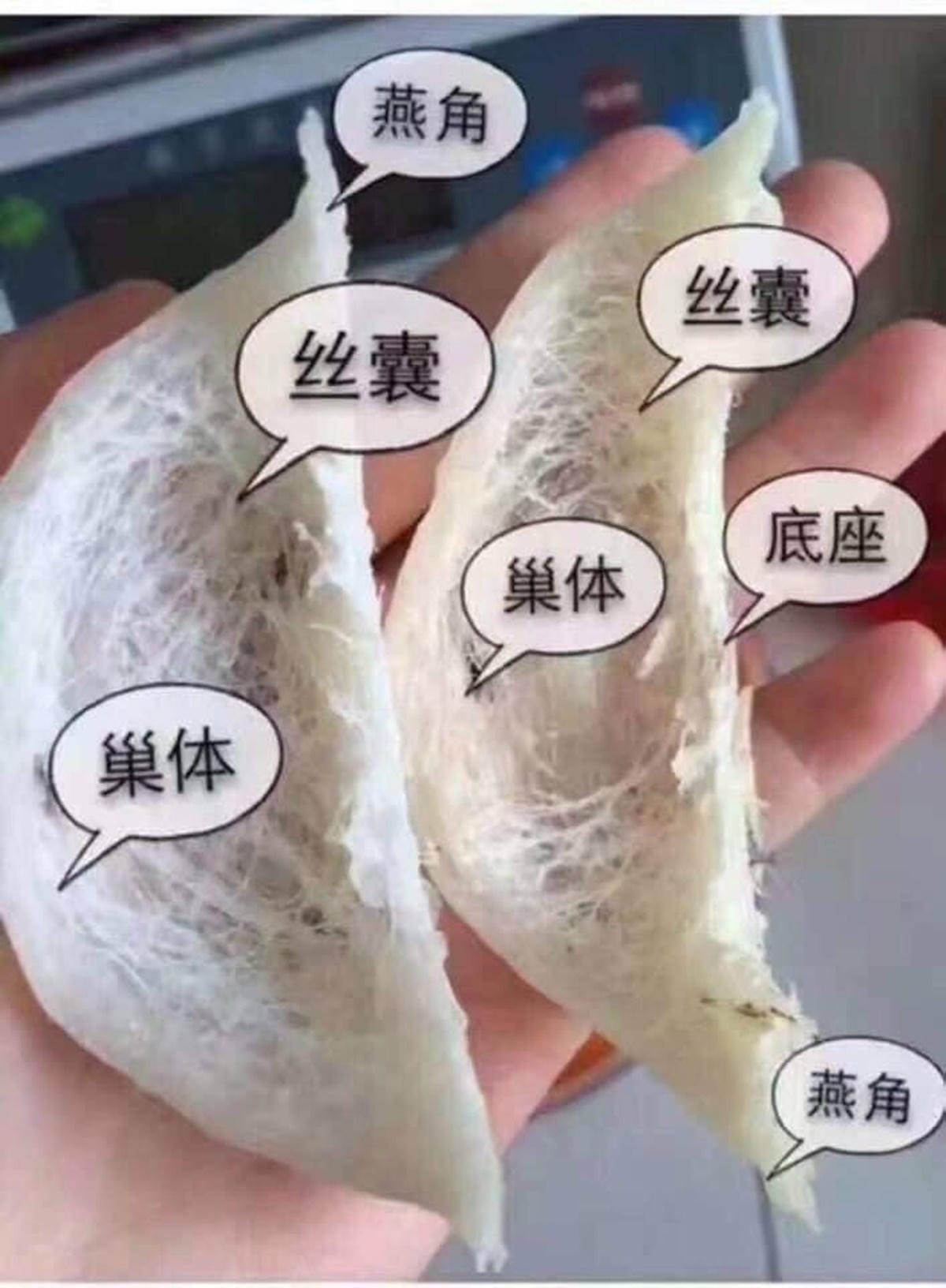 大唐燕品11.JPG