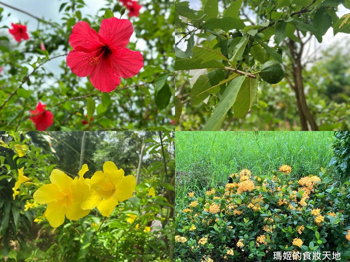 batch_鳶山紅樓38D.jpg batch_鳶山紅樓38D.jpg