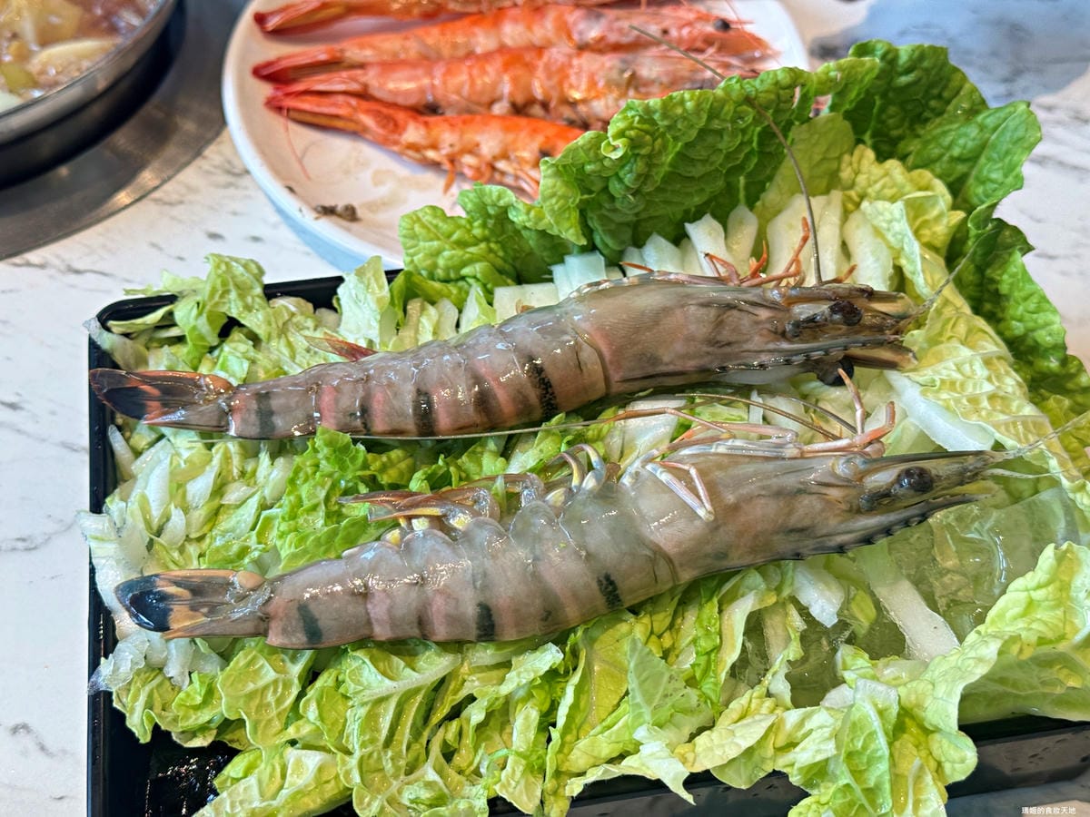 batch_羽葉36.JPG